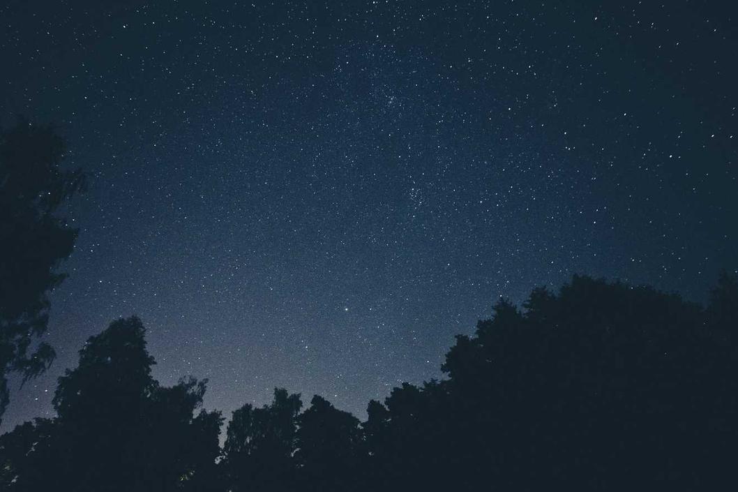 Consequatur id quam aut ex tenetur